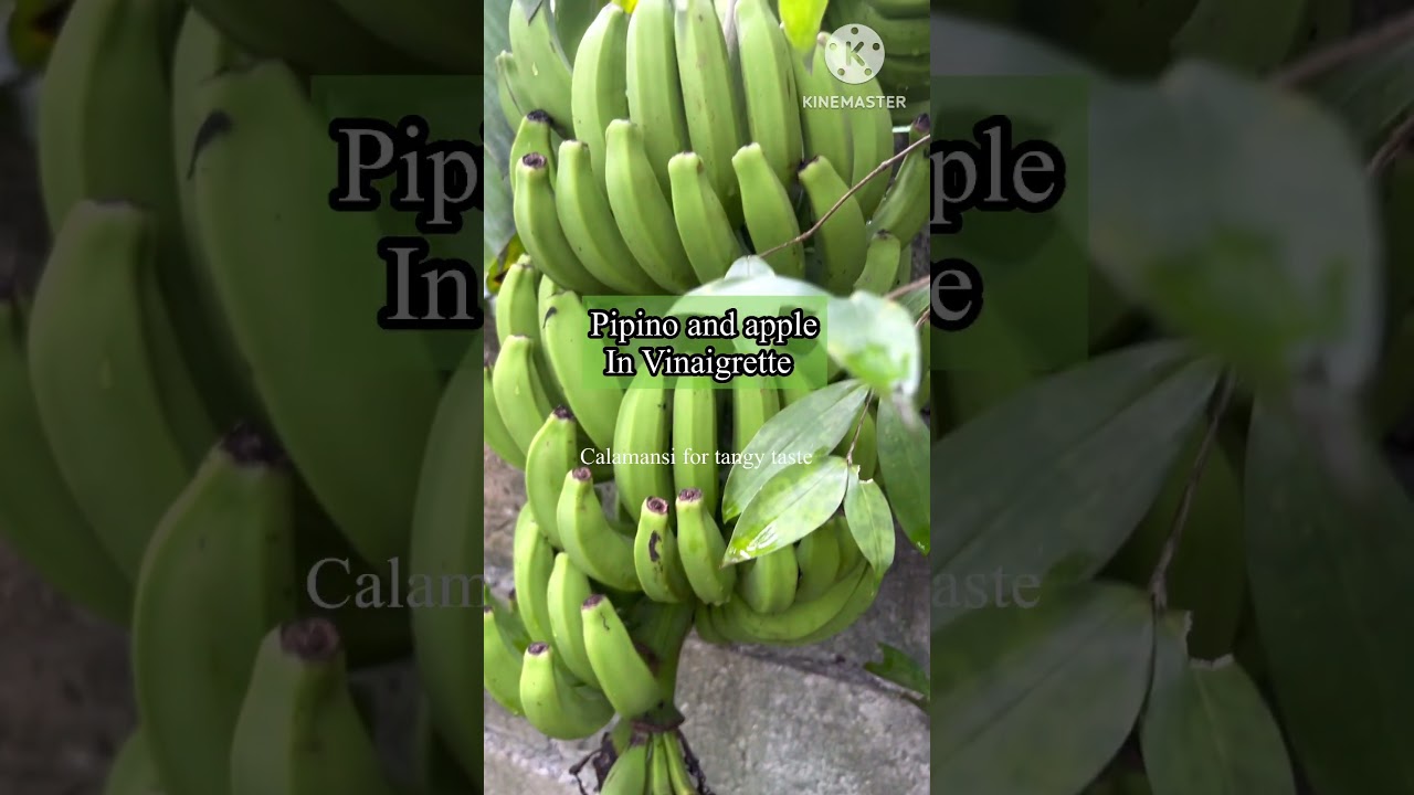 apple and cucumber vinaigrette #simplesalad #simplerecipe #salad #apple #cucumber #yummyfood #home