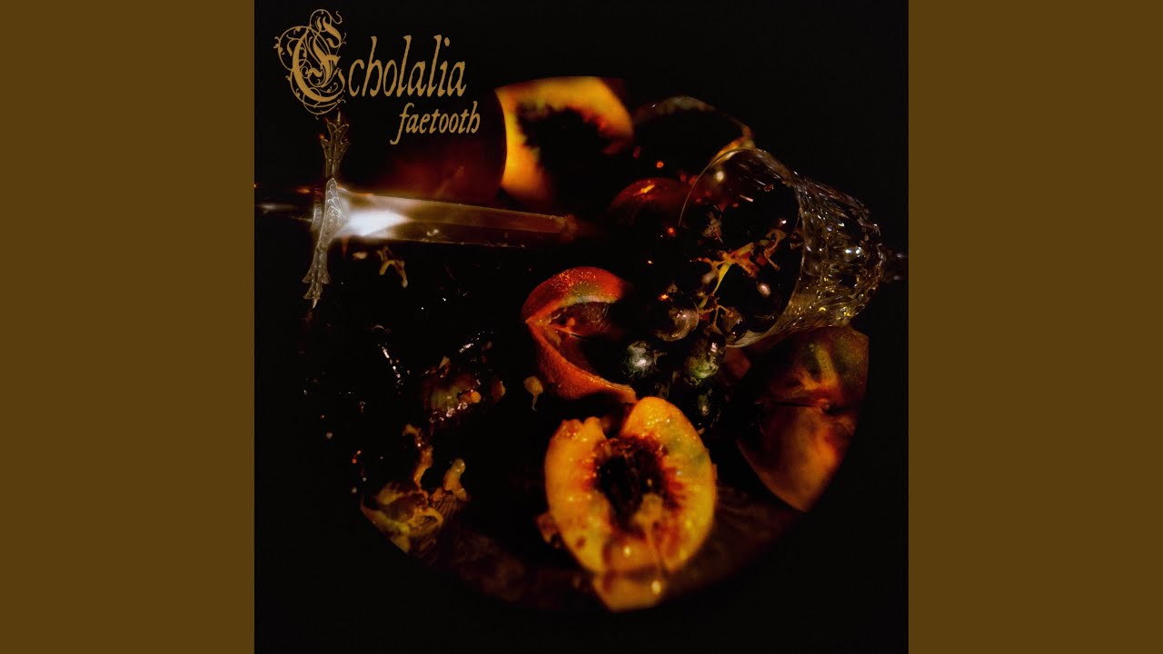 Echolalia