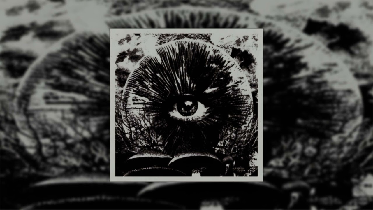 Lida - Грустный рэп (a bit slowed)