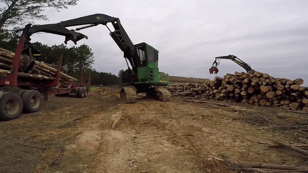 Logging- this video is bad to the bone!