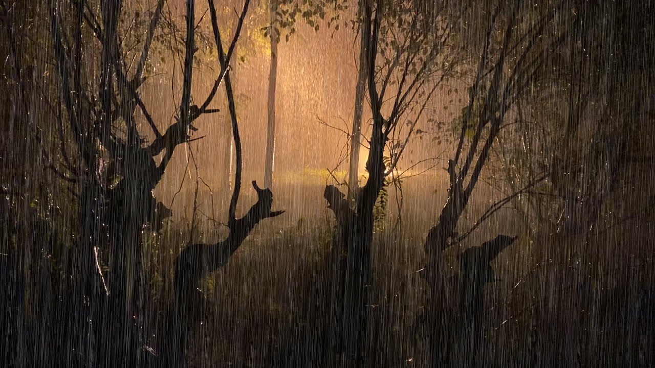 Beautiful Heavy Rain with Sweet Thunder in Old Forest at Night Will make You Sleep Instantly
