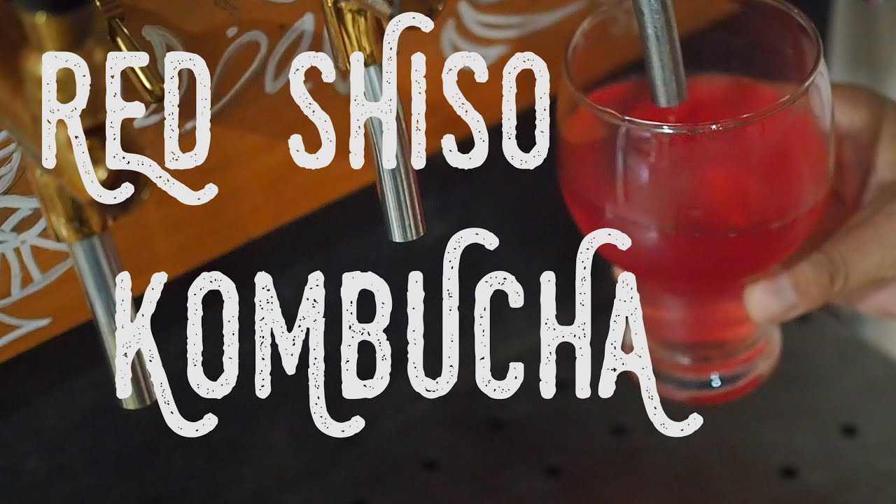 RED SHISO KOMBUCHA