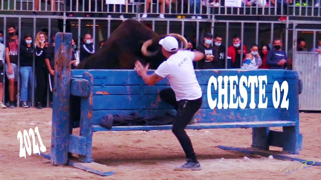 ✅2021 CHESTE 02 ◾ ESPECIAL Ganaderia F. Machancoses