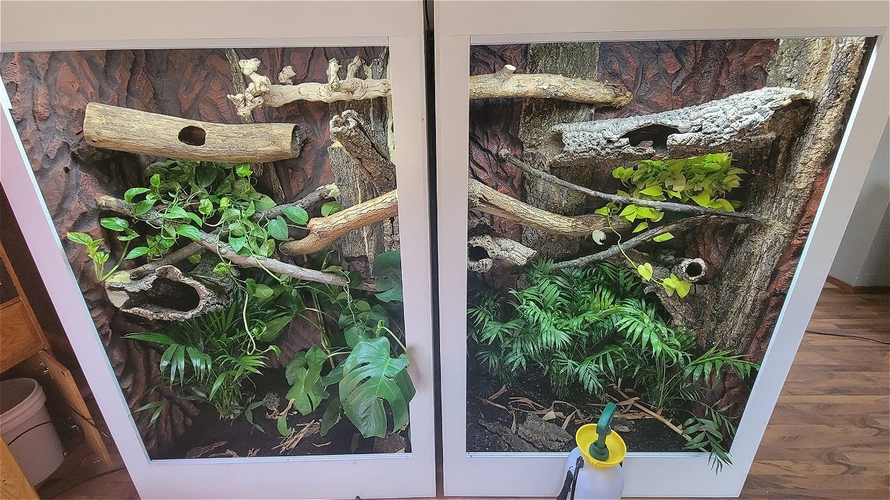 My New Tree Monitor Enclosures (For Blue and Black Tree Monitors)
