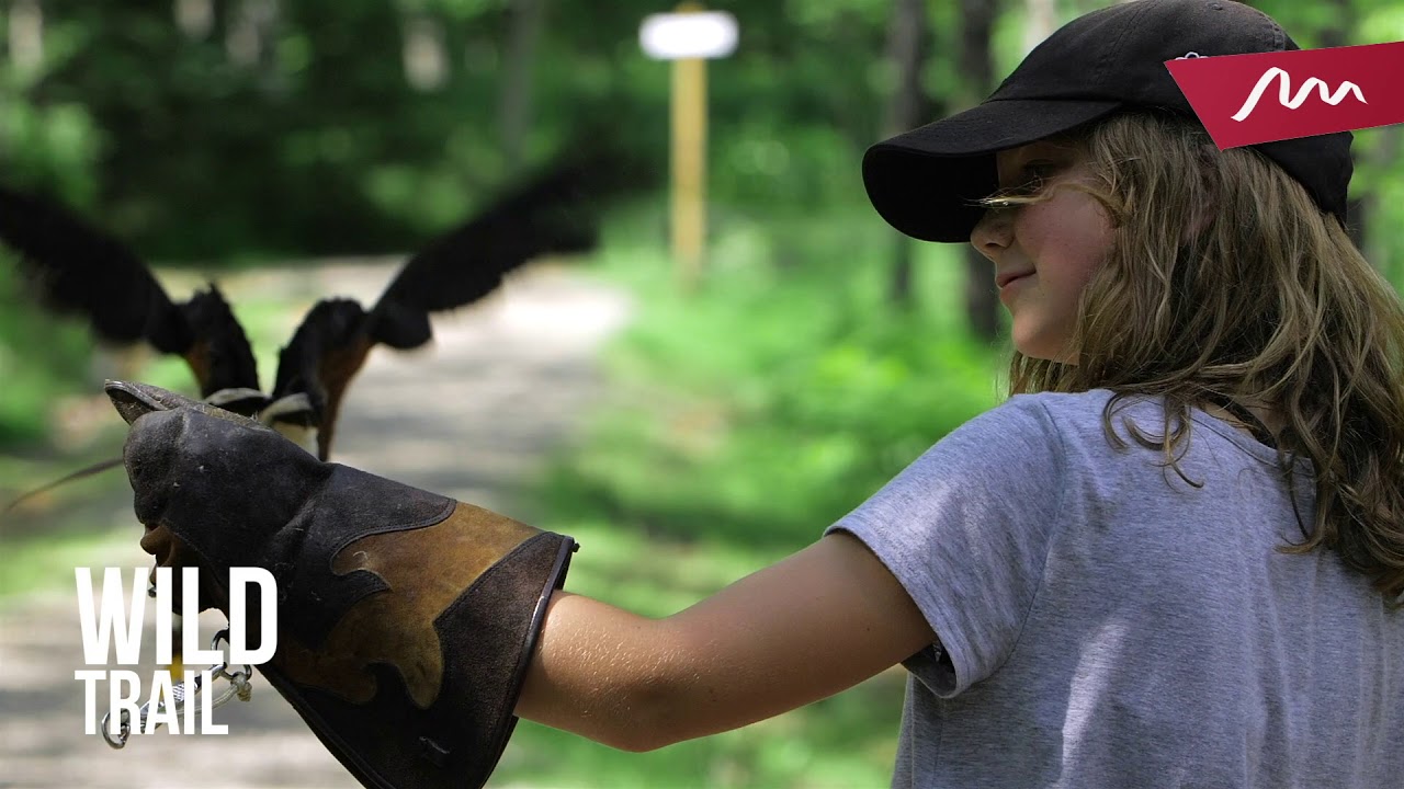 Summer 2019 in Mont-Tremblant #FindYourTrail