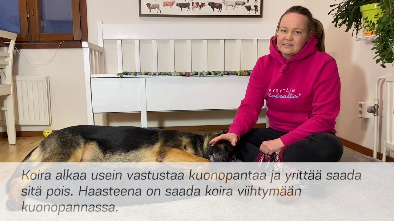 Kuonokoppa ja kuonopanta kivoiksi