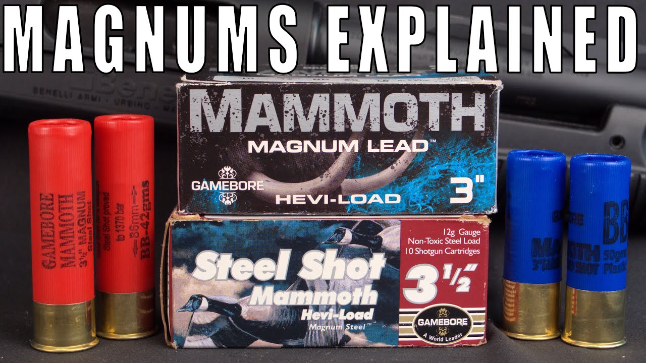 Magnums Explained (Turbo Charged Shotgun Cartridges)