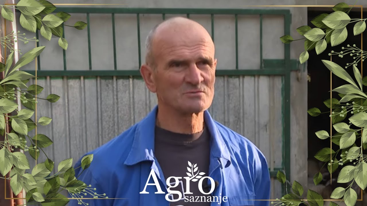 Priče sa Brezana, Drenovštice, Zete i iz Vinicke -AGROSAZNANJE 