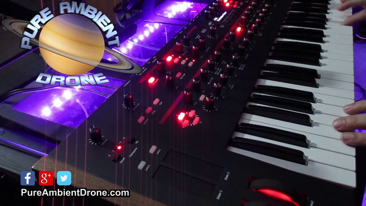 DSI Prophet 12 Sounds and Demo - No Talking