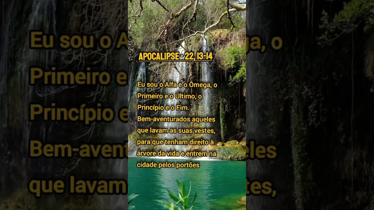 Mensagem B&iacute;blica #palvradedeus