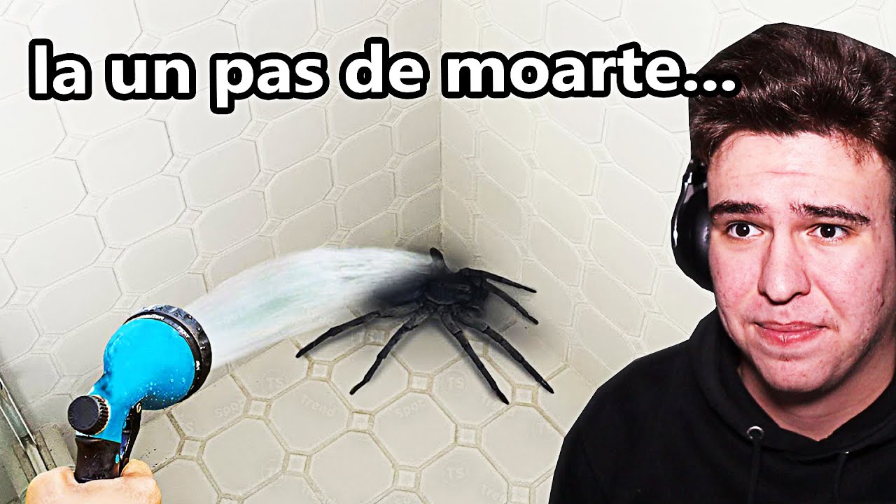 Oameni Care Aproape Au Fost Mușcati De Păinjeni Veninoși..