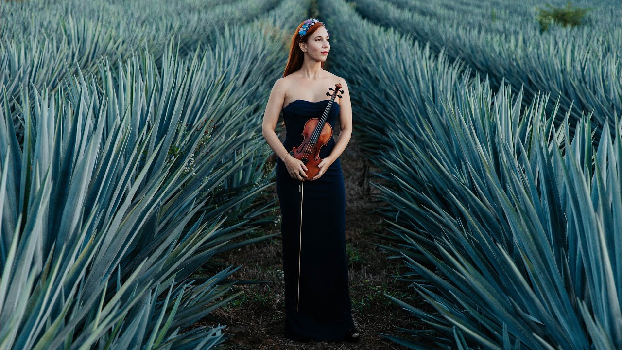 Ordinary by Alex Warren ( violin cover) #violincover #violin 