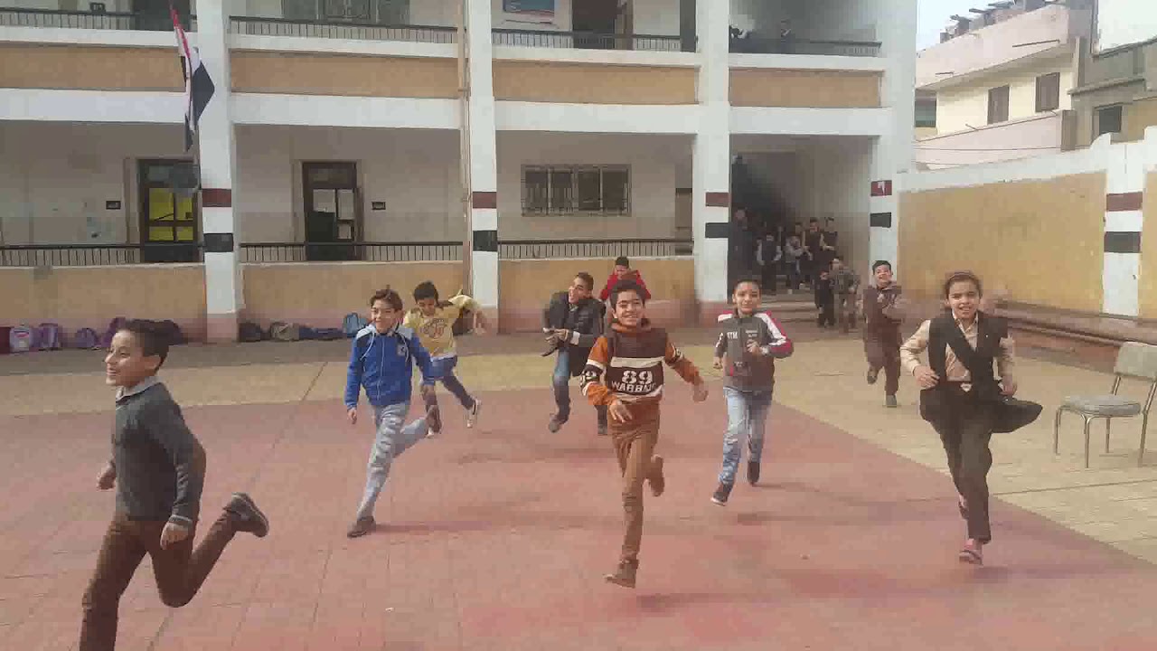 مدرسة ميت مزاح الابتدائية المشتركة - المنصورة - دقهلية