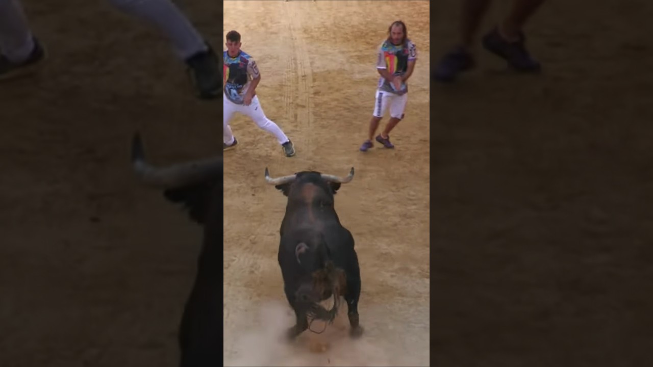 Salida Toro Puzol Hostales 2025 #toros Toros TV