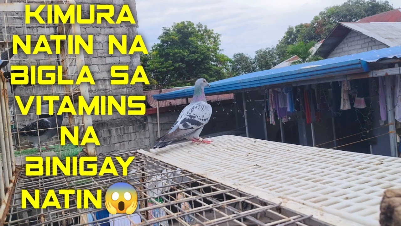 Kimura natin na bigla sa vitamins na binigay natin😱