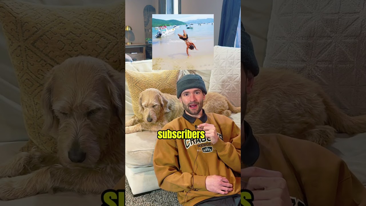 3512 / 10000 - С каждым днем ​​все ближе 🙌🏼 #маленькийютубер #подписаться #собаки #ютубер #влог