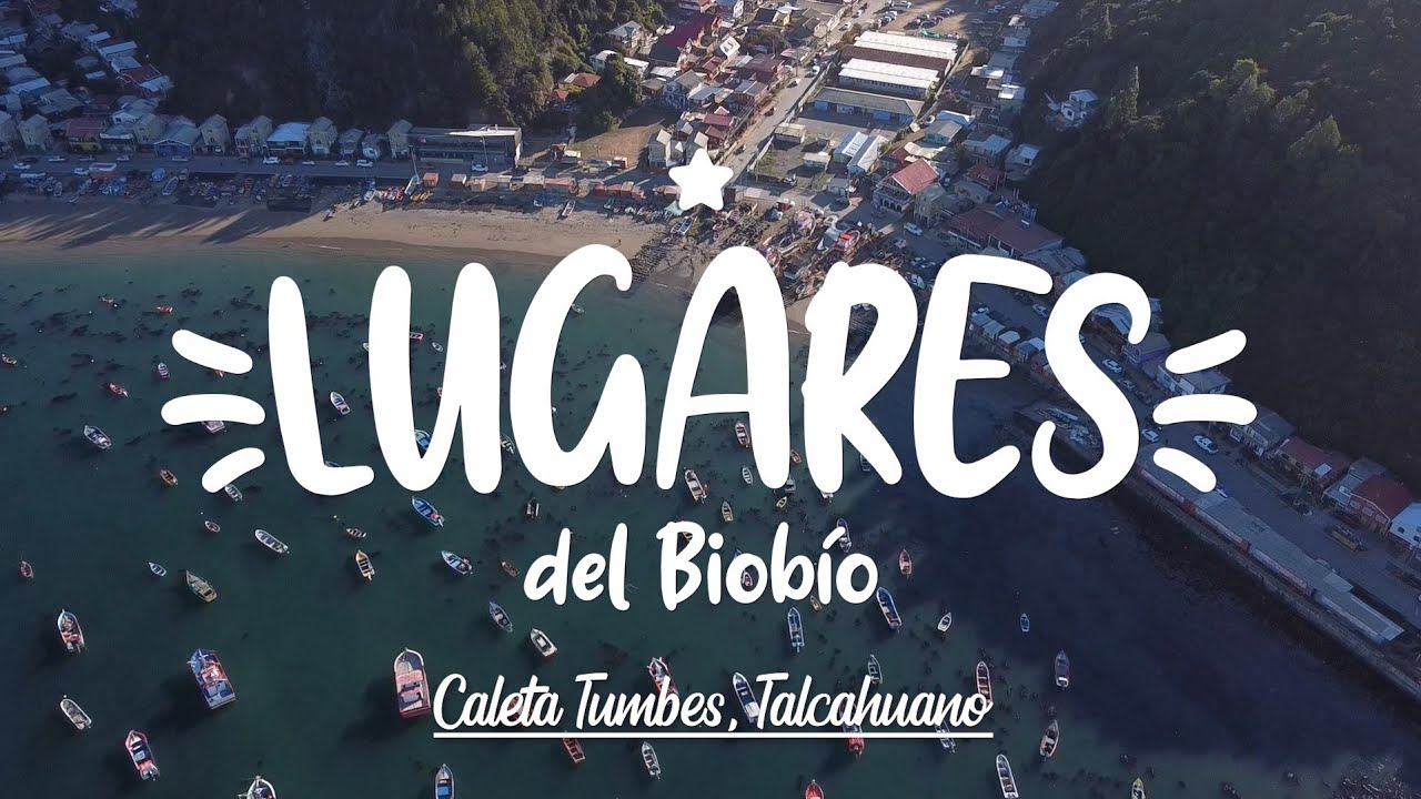 Lugares del Biobío #6 - Caleta Tumbes (Talcahuano) / Drone