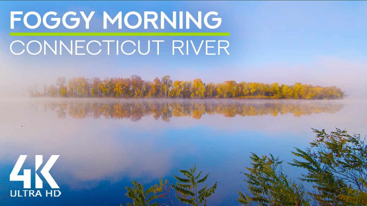 Nature Sounds of a Foggy Morning by the River - Autumn Ambience & Fall Foliage Colors 4K UHD