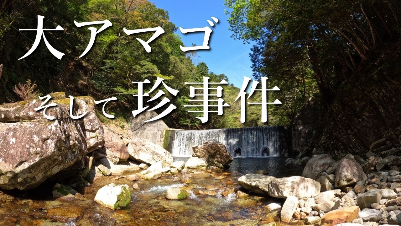 【珍事件】初渓流で大アマゴを釣るが…困惑の事態と疲労困憊の大冒険…【渓流釣り】