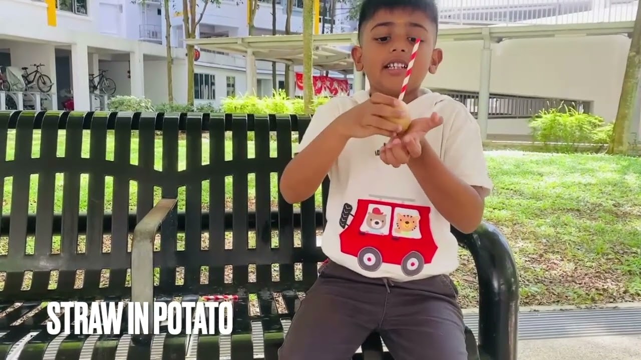 Straw in potato | Science | Mithun Baskaran