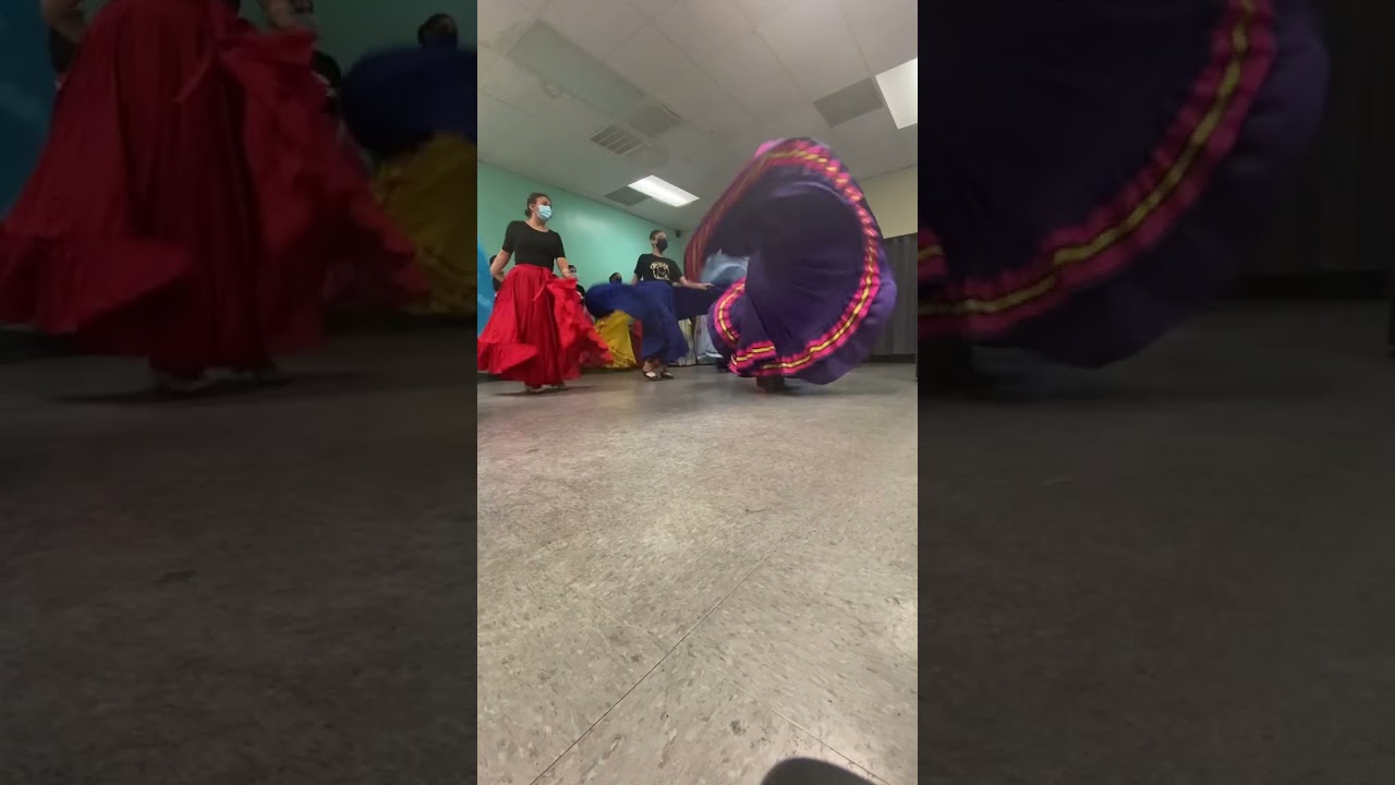 El sauce y la palma y arriba mi Sinaloa