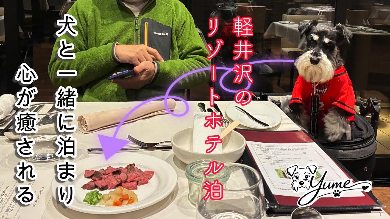 【軽井沢】犬と泊まるリゾートホテル