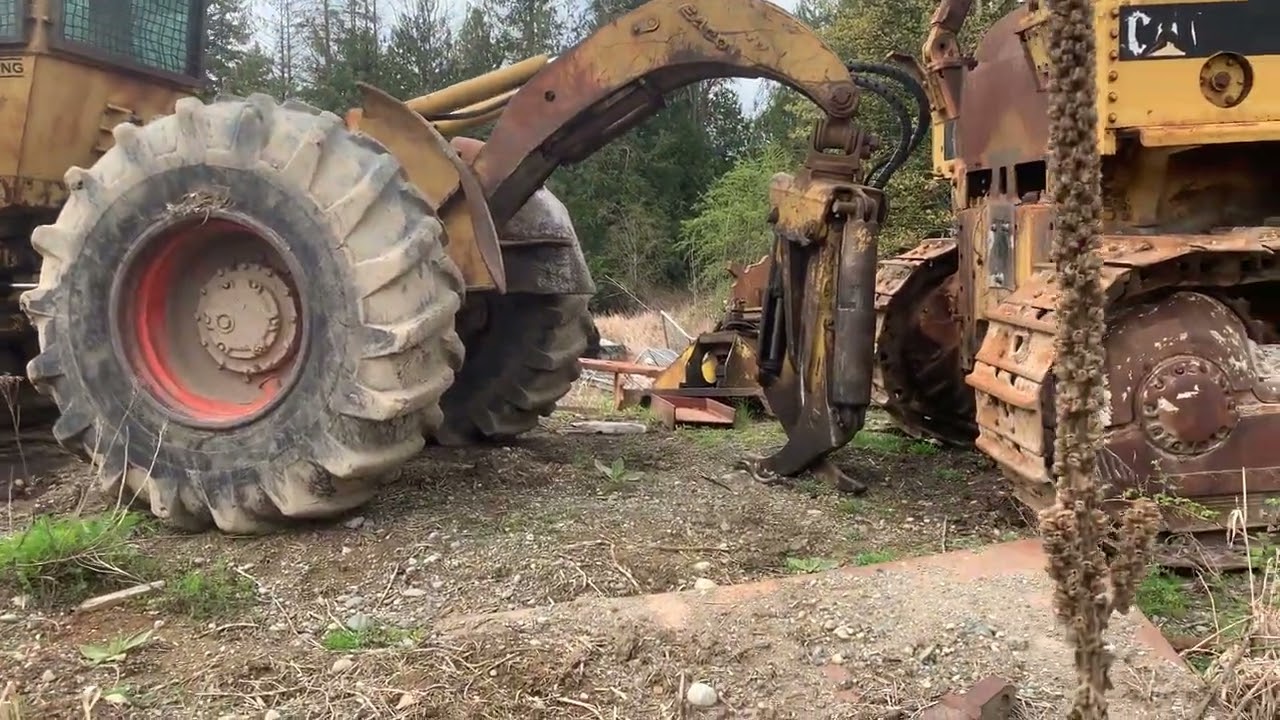 Лесозаготовительное оборудование и могильник