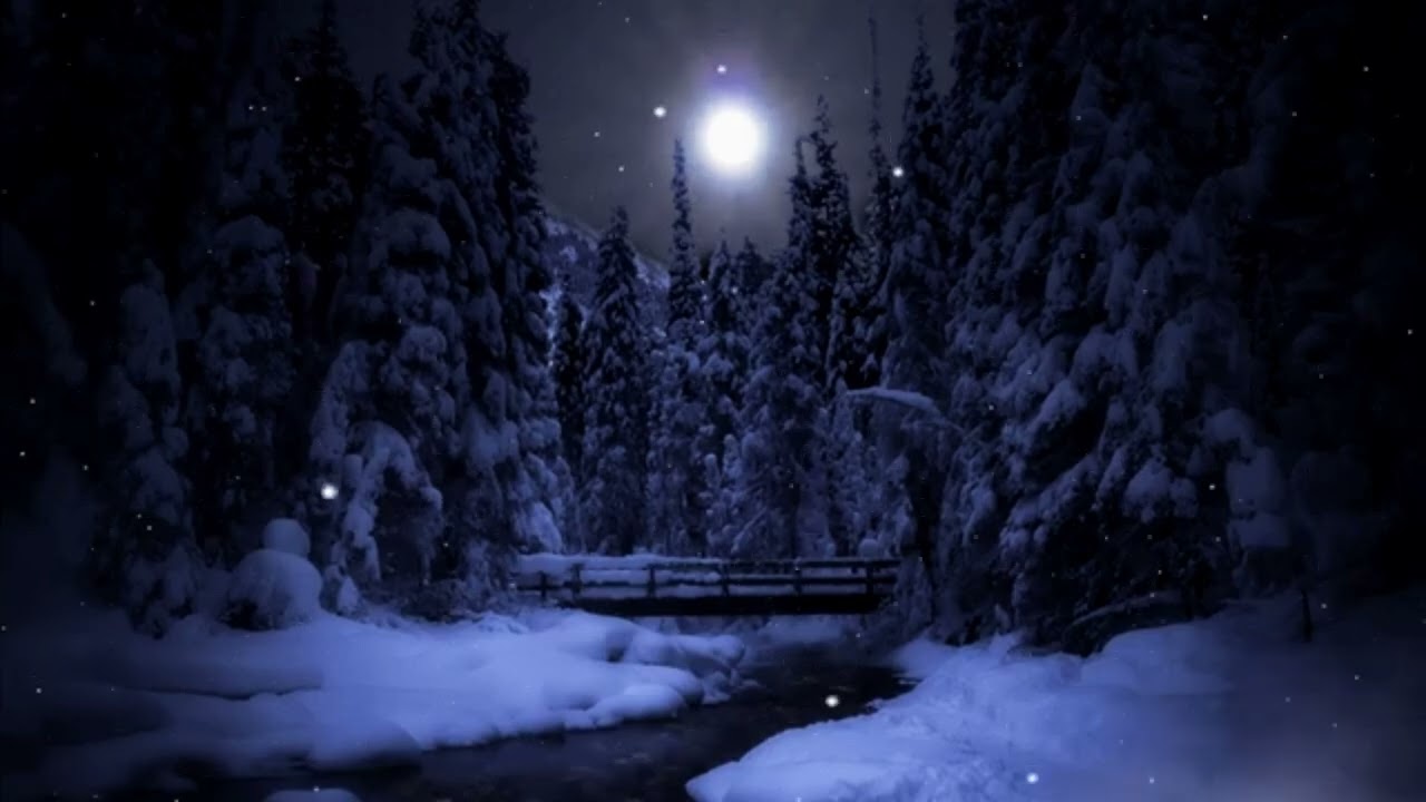 Snow-Covered Forest In 4K: No Sound