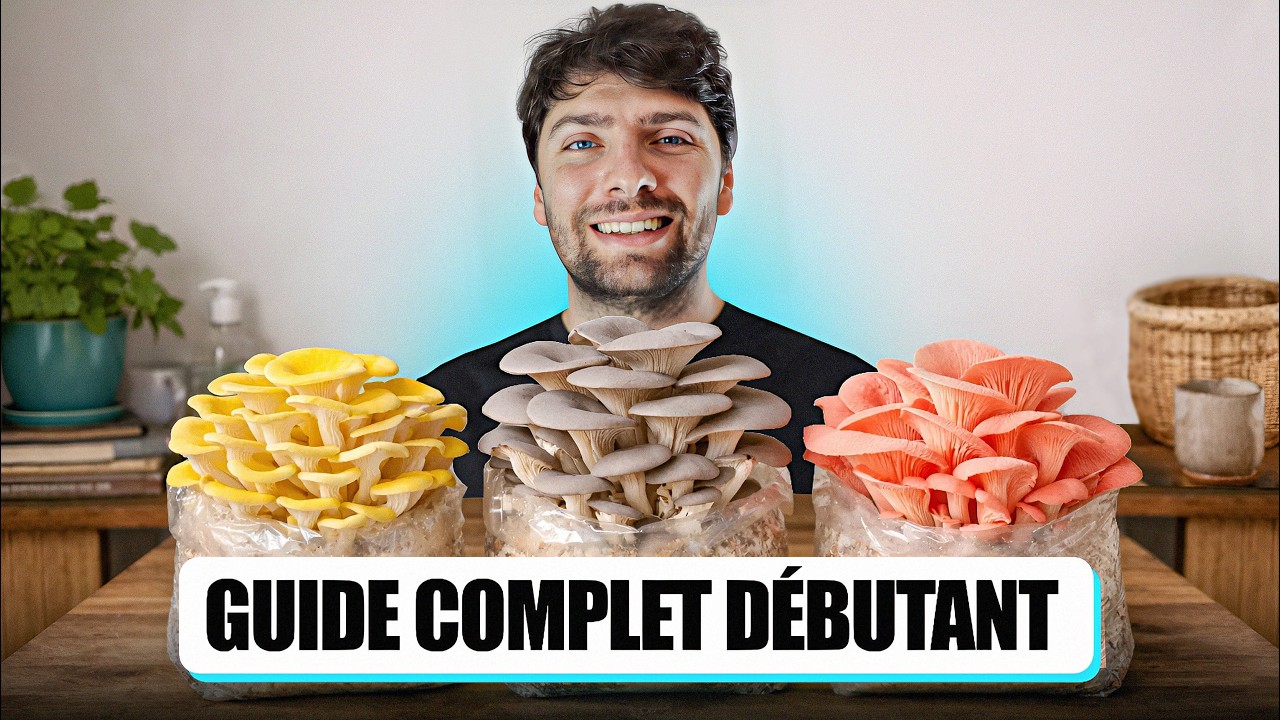 🍄 PLEUROTES en INTÉRIEUR : le GUIDE COMPLET pour BIEN DÉBUTER