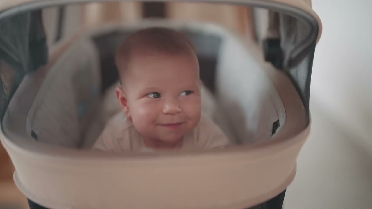 sport line 2026 collection