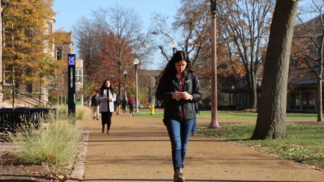 This Semester I Learned