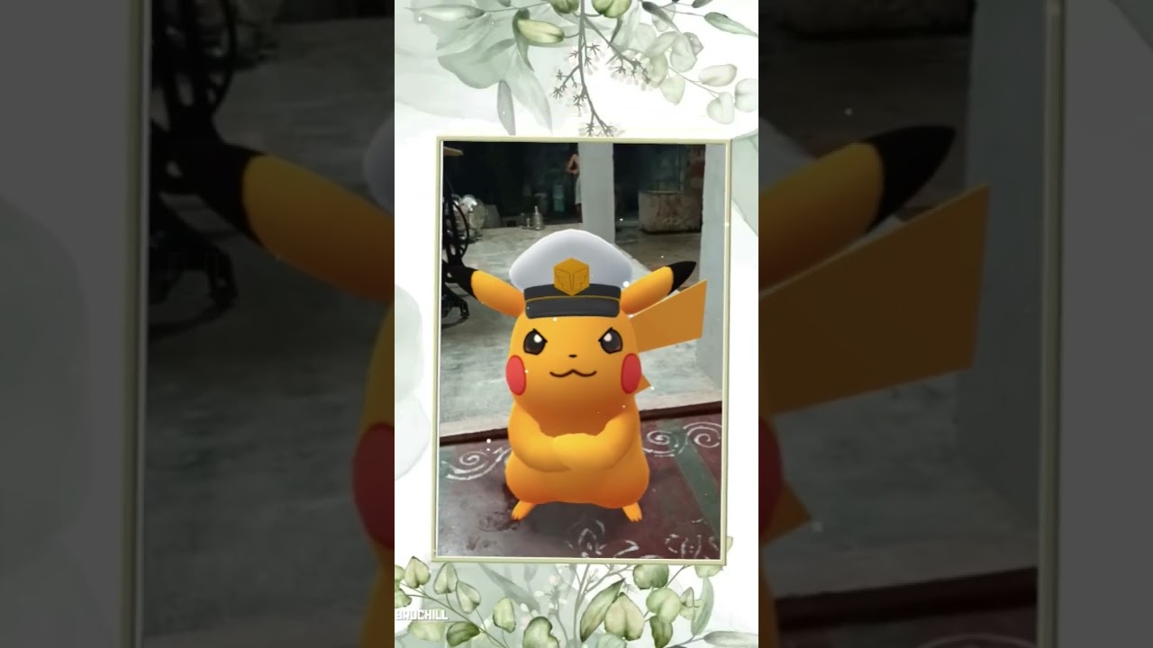 Pokemon friendship (Pokemon go)