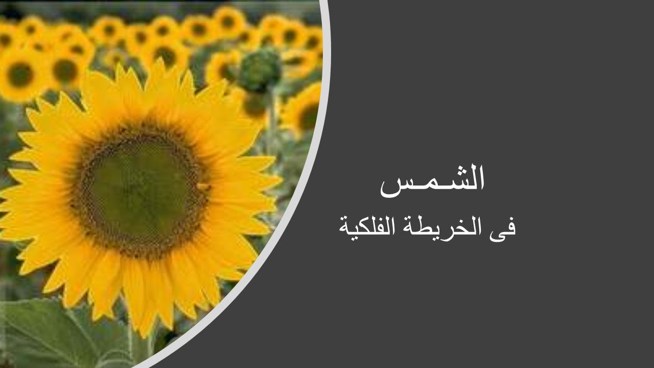 الشمس فى الخريطة الفلكية