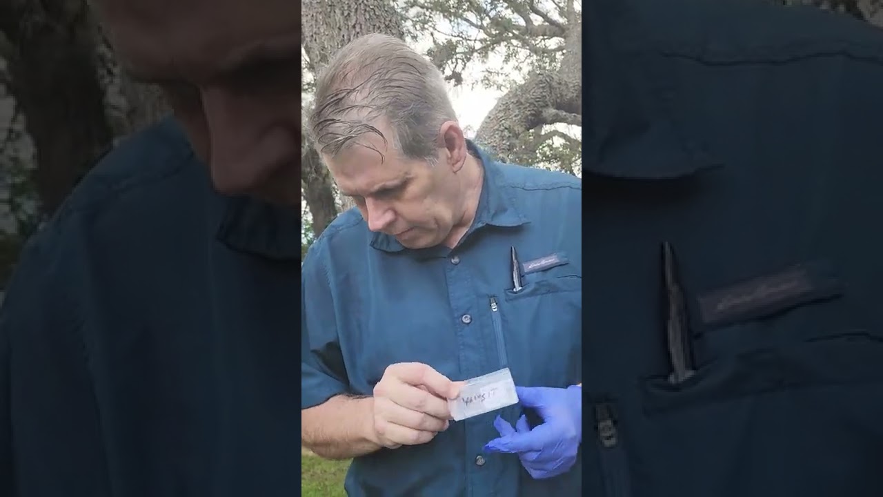 How to tape lift sample for mold growth
