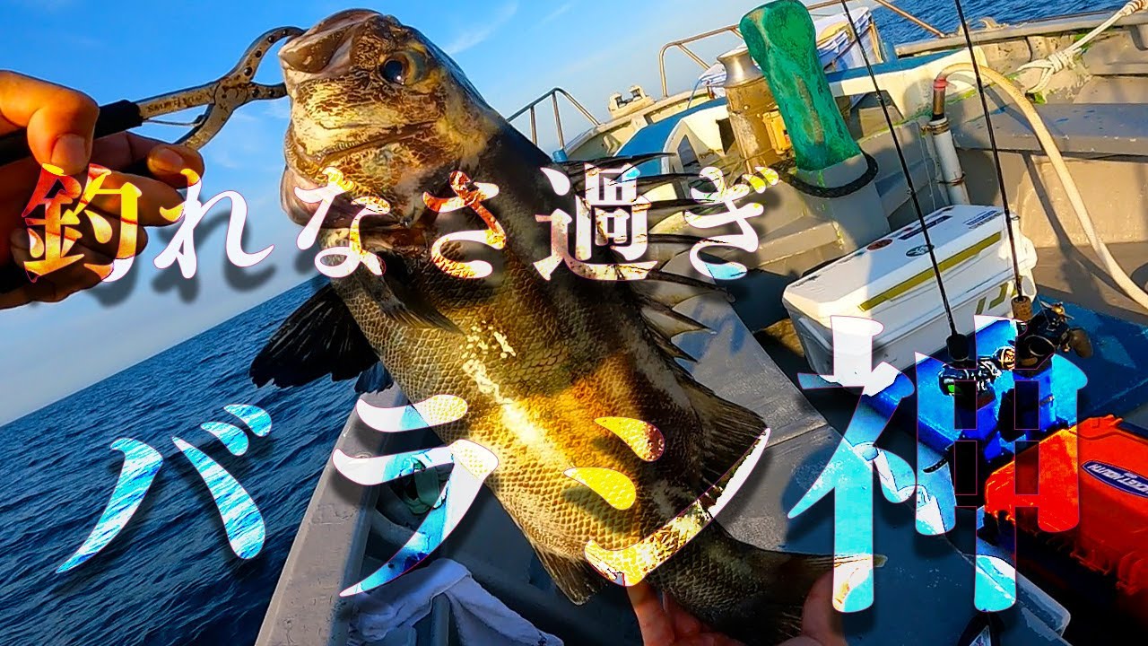 最近釣れなさ過ぎて自信を無くしています。どうしたらよいでしょうか？アドバイスください。トビヌケジギングバトルで惨敗！！