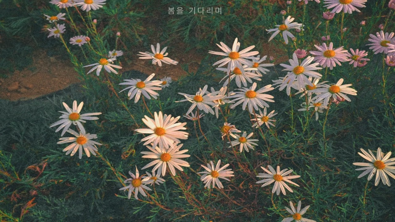 겨울 끝에서, 봄을 기다리며