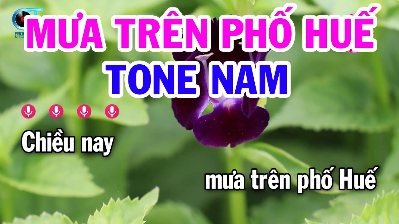 Karaoke Mưa Trên Phố Huế Tone Nam Nhạc Sống