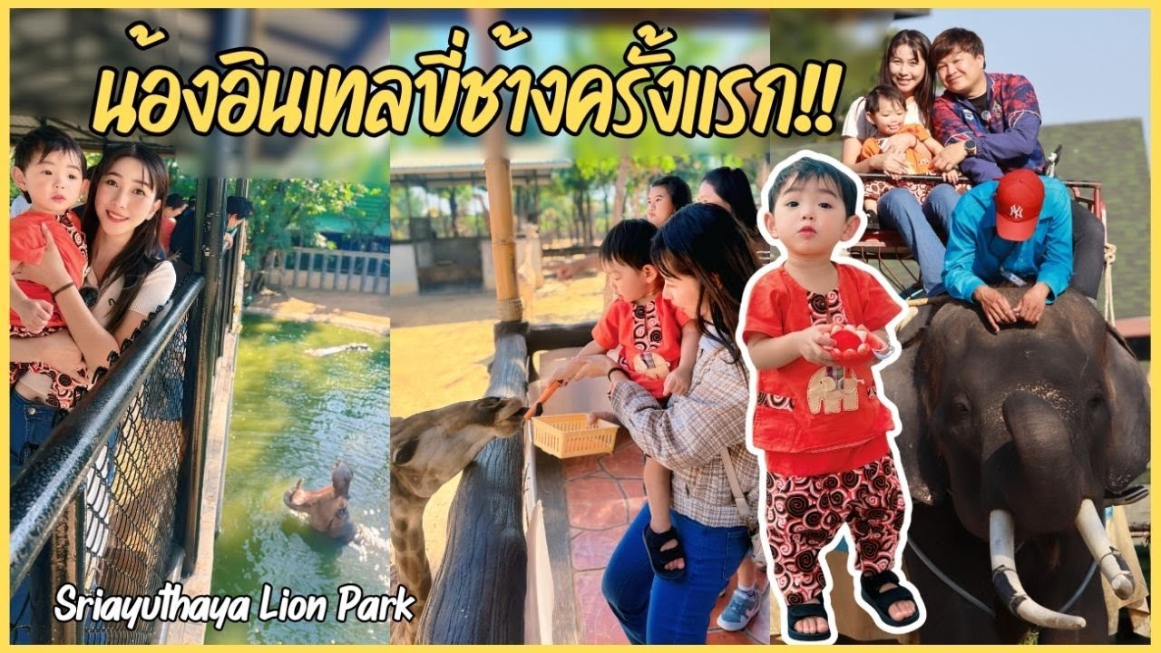 พาอินเทลขี่ช้างครั้งแรก! ตะลุย SRIAYUTHAYA LION PARK | Intel's Diary
