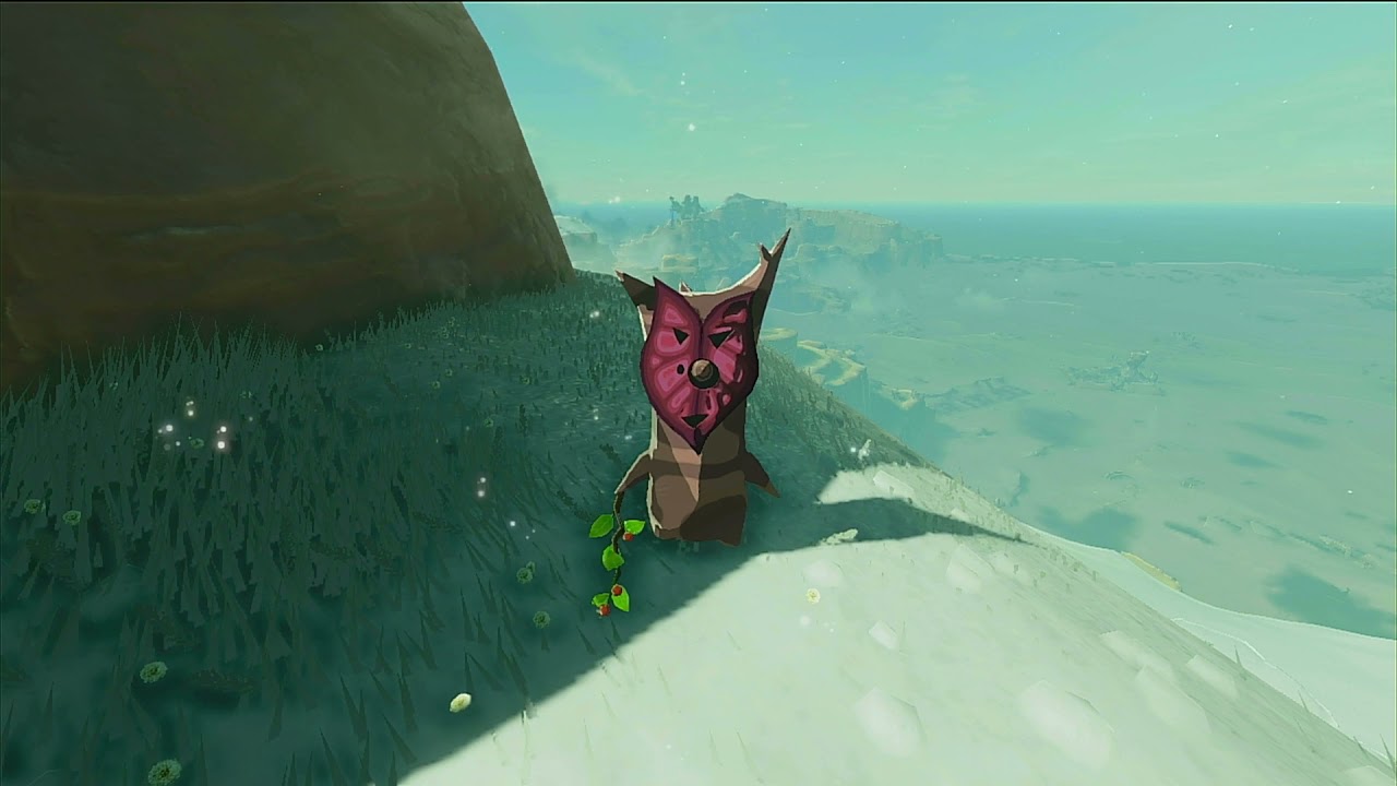 Zelda Breath 180 Cañon Calex
