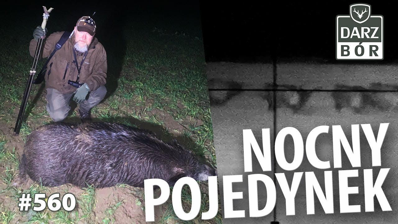Darz B&oacute;r odc. 560. Nocne polowanie na dziki!
