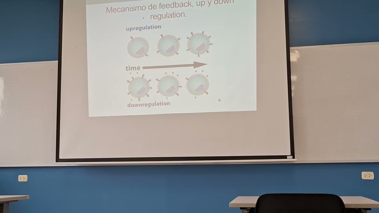 Endocrino - Clase 1 Parte 1