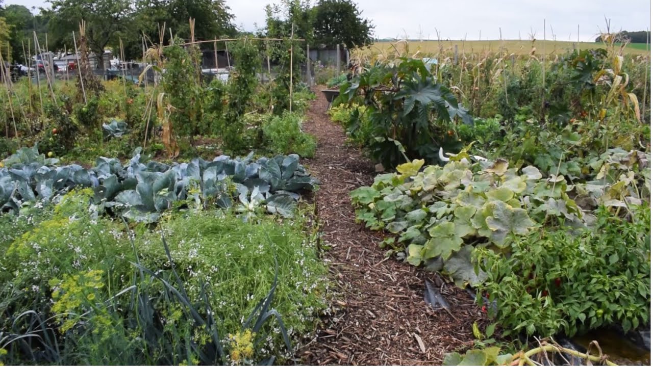 Start to garden dag. Deel 4: Eindresultaat en tuin winterklaar maken