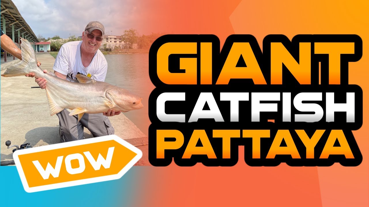 PATTAYA FISHING PARK