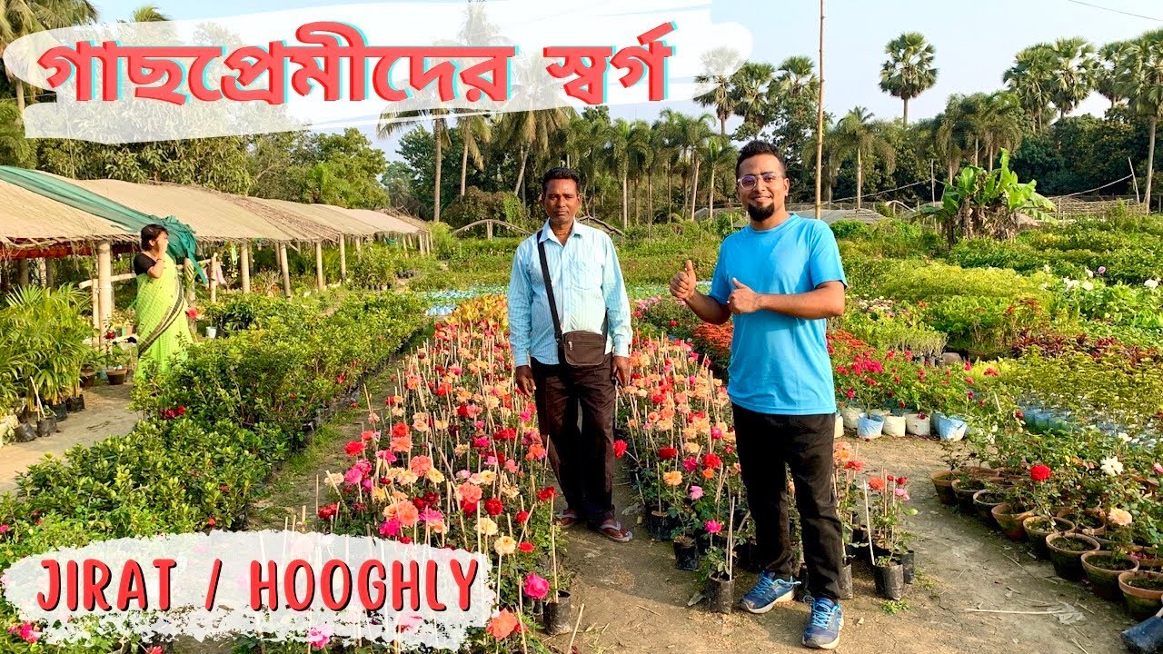 গাছপ্রেমীদের স্বর্গ 🌳🌸 জিরাট নার্সারী পাড়া | মন ভরে গেলো এত রকমের গাছ দেখে 😇🌷