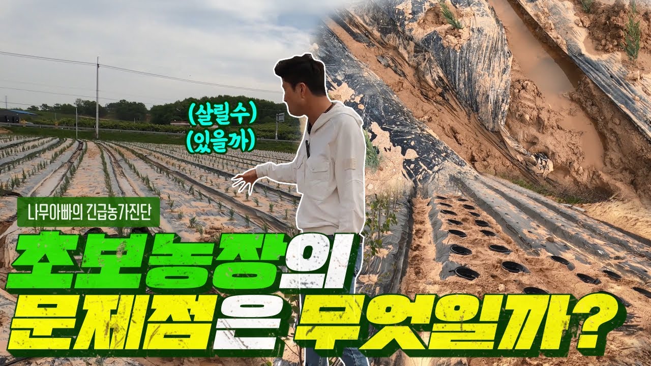 나무아빠의 긴급 농가 진단!! 잘 안된 초보 농장의 문제점을 찾았습니다ㅣ[대림묘목농원_농가 진단]