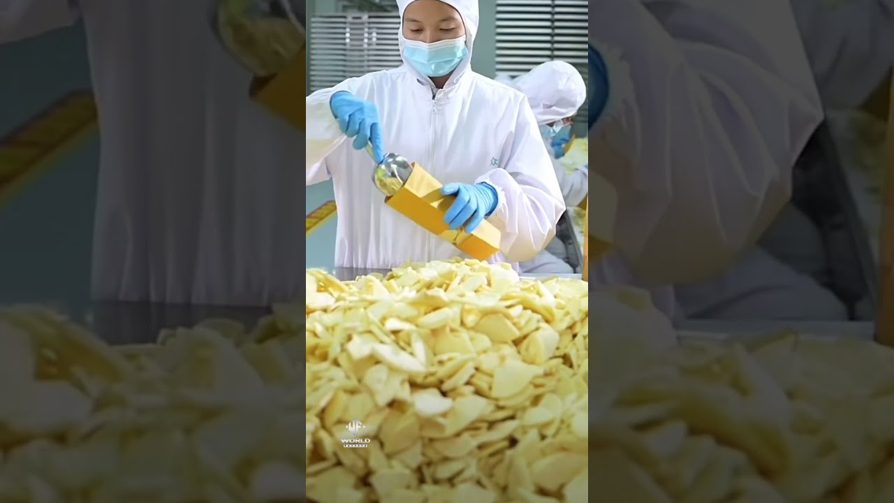 Freeze-dried apple slices production factory