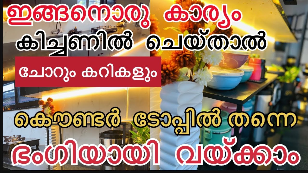 👍അതിനൊരു  പരിഹാരം. Kitchen കൗണ്ടർ ടോപ്പിൽ  ആരും  ഫുഡ്‌  വച്ചു  കാണിക്കാത്തതെന്താ 🤩
