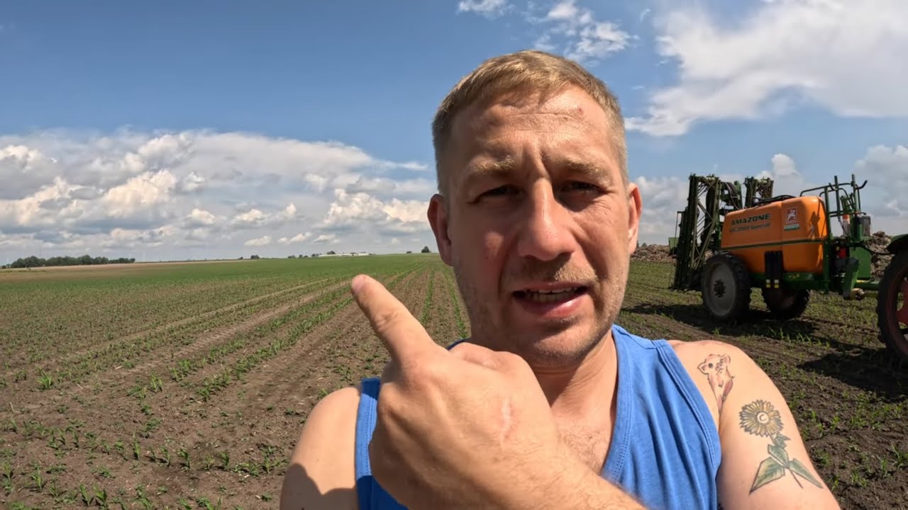 Mam Gadane Vlog #52 - jaka taktyka na odchwaszczanie kukurydzy ? ano robię to tak!