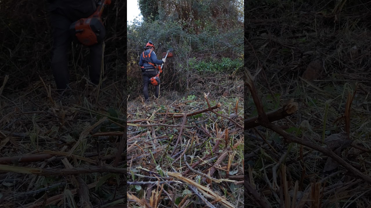 Husqvarna 555 FRM