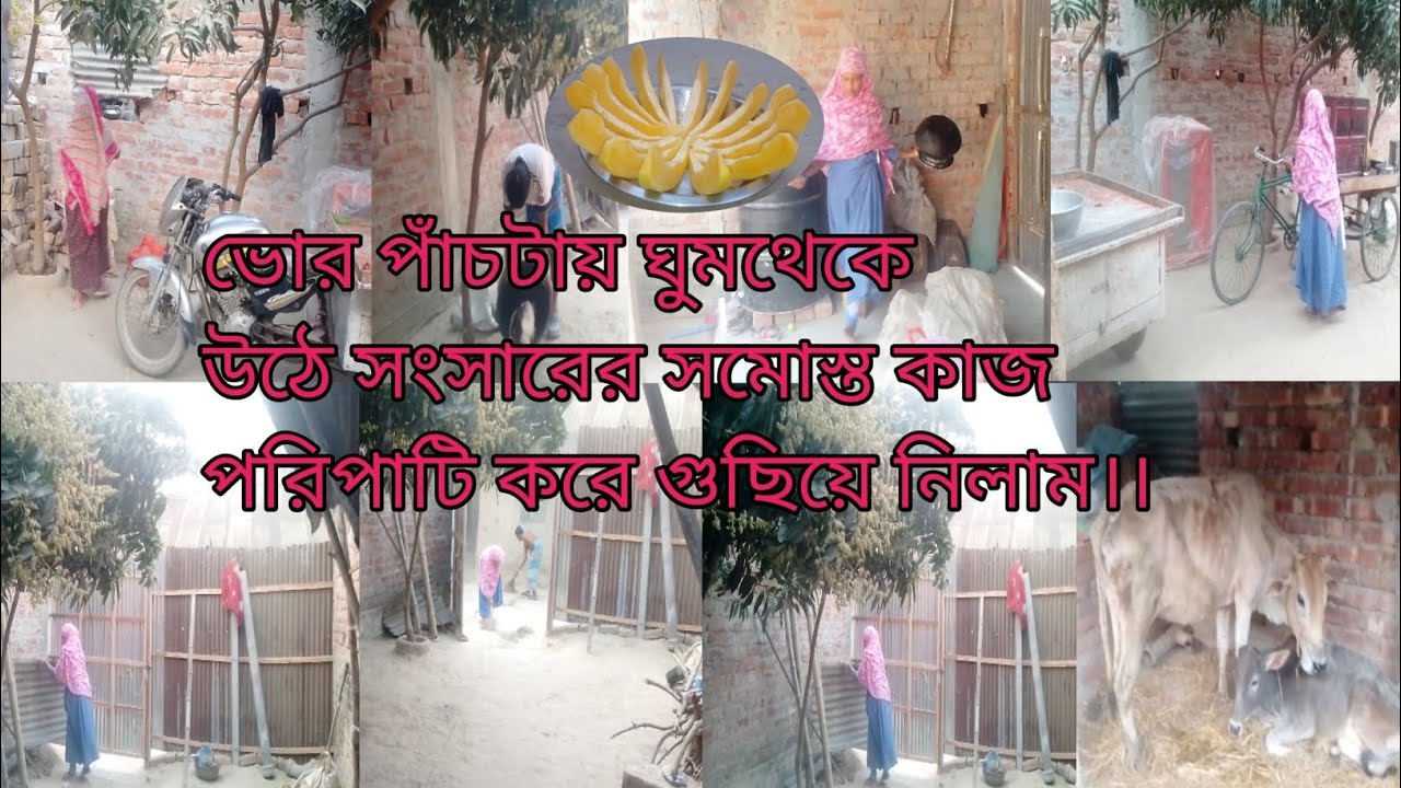 ভোর পাঁচটায় ঘুমথেকে🧕উঠে সংসারের সমোস্ত কাজ পরিপাটি😅করে গুছিয়ে নিলাম।।nuri#daily#vlog...